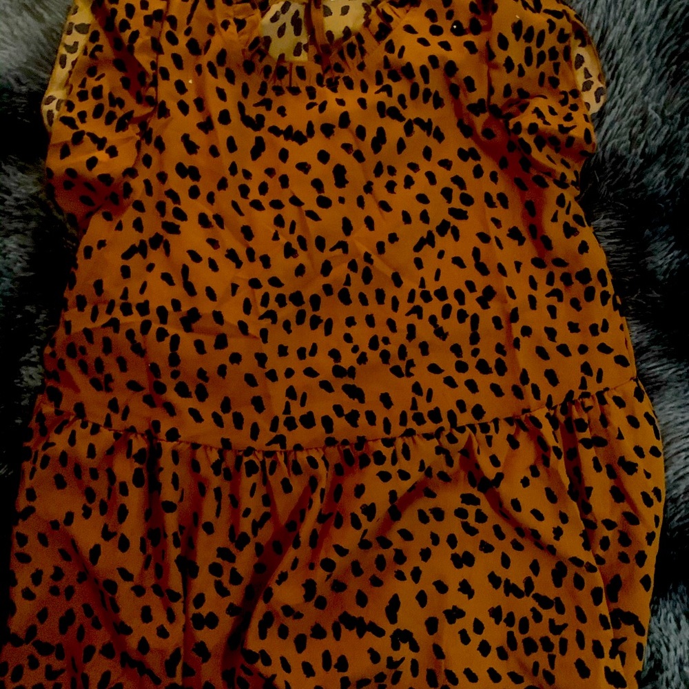 Beautiful Women’s Blouse